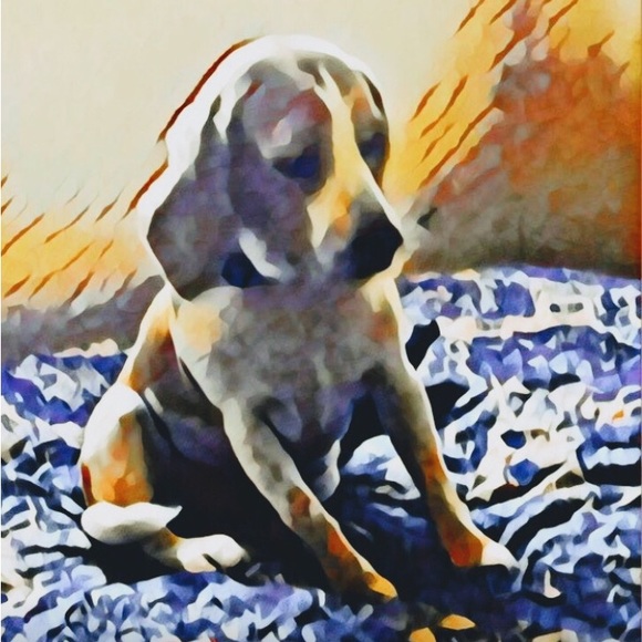 Dear Poshmark, why put a price on people?  (See photo above) - Picture 3 of 5